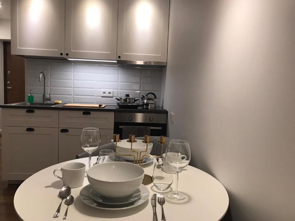 Апартаменты Five Star Downtown Apartment Вильнюс-32